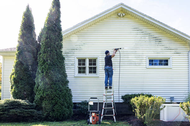 Best Commercial Building Pressure Washing  in Waverly, TN